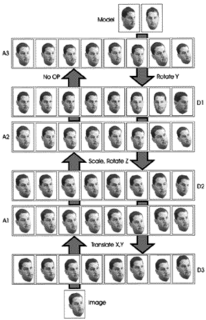 How the brain recognizes the images we see